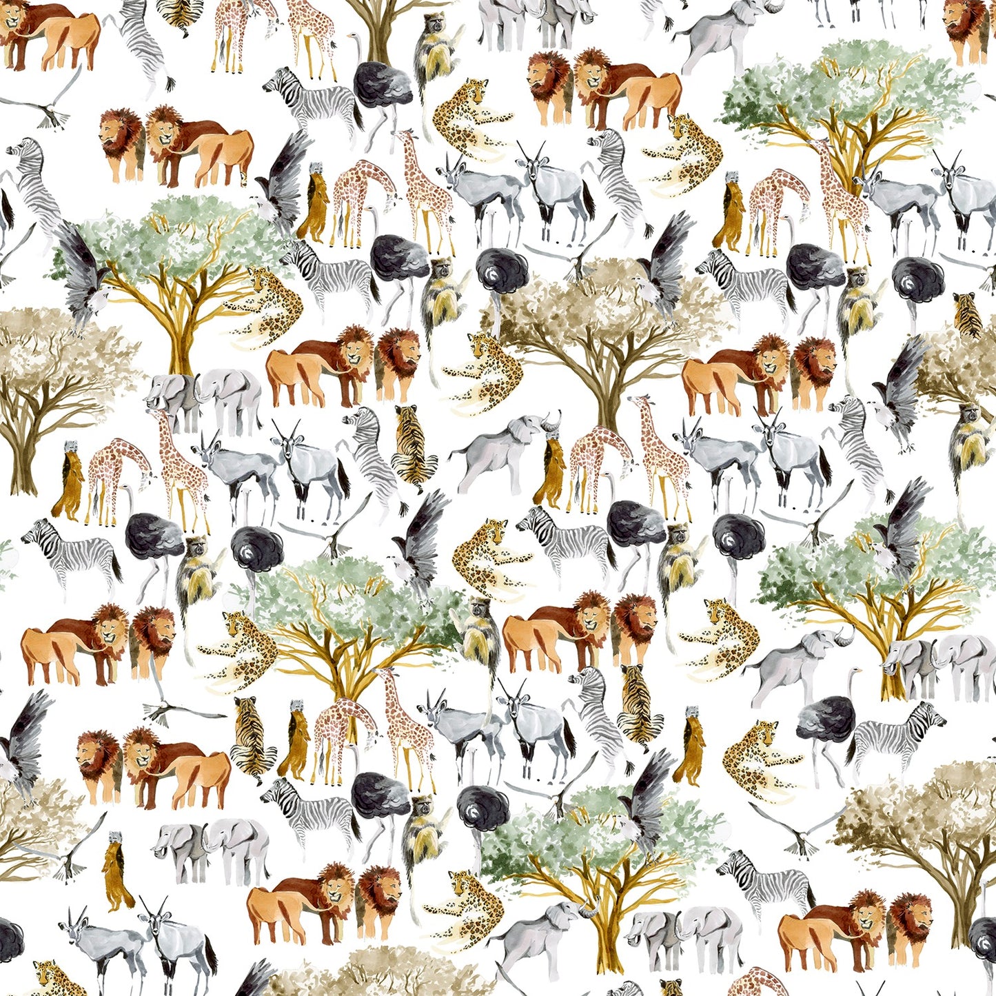 African Safari