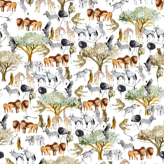 African Safari